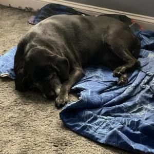 Meet your Posher, Derek